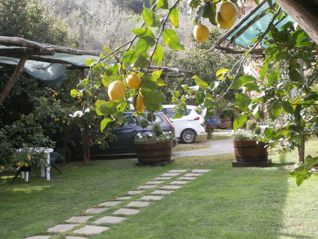 Villa De Angelis Sorrento Exterior foto